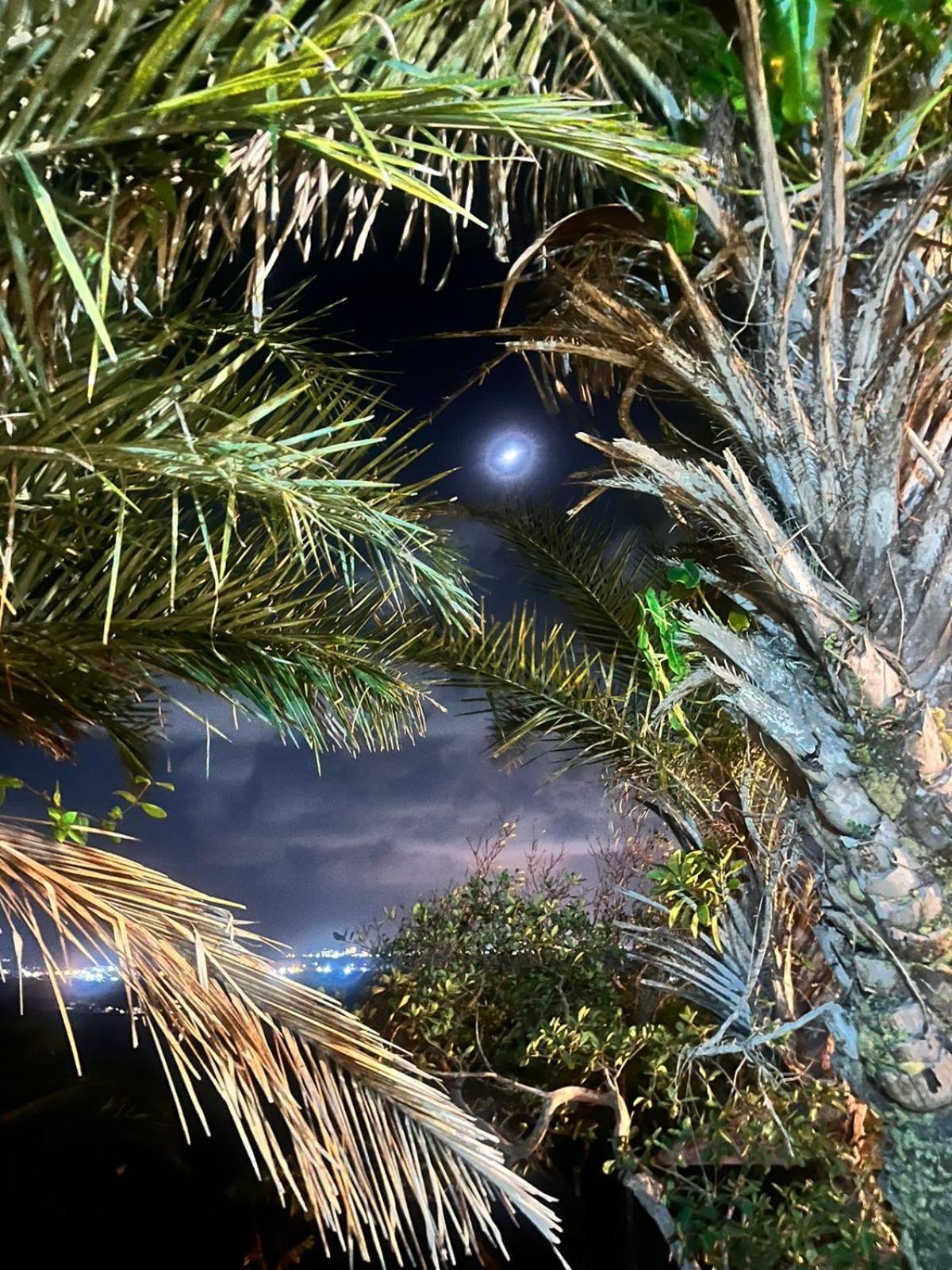 קאבו דה סנטו אגוסטינו Flor De Aruanda Hostel מראה חיצוני תמונה